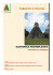 itinerario guatemala archeologico