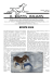 Il bracco italiano.net