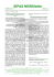 Newsletter 02_2010 Febbraio