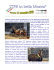 continua la lettura cliccando qui.............. reportage completo di dott