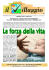 una sfida nella povertà