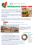 Corso di Portoghese Generale