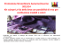 Promozione Straordinaria Autunno/Inverno 2013/14