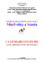 MiniVolley a Scuola - Uffici Educazione Fisica