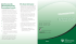 Discriminazione razziale - Ontario Human Rights Commission
