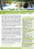 Pdf programma - Pettinà Viaggi