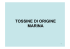 tossine di origine marina