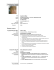 mio cv - Assunta De Biase