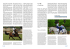 Cavallo e handicap