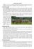 Heka news 01a gennaio 2012