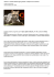 Ubuntu 11.10 Oneiric Ocelot: bug di giovent   in