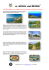 Isola d`Elba, spiagge, mare, montagna ed escursioni. Programmi