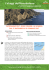 CAPODANNO 2017: ISOLE CANARIE, LA GOMERA DAL 27