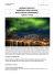 pdf - Le Vie del Nord