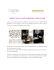« ESPRIT COCO » ALLO STARHOTELS CASTILLE PARIS