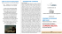 Brochure L`amore resta - Associazione Medica Patavina