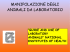 MANIPOLAZIONE DEGLI ANIMALI DA LABORATORIO