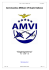 organigramma - amvi - 2005 - Aeronautica Militare Virtuale Italiana