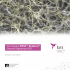 Tecnologia PRGF®-Endoret® Sistemi implantari BTI