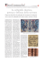 pdf - Fondazione Internazionale Menarini