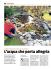 L`acqua che porta allegria