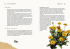 Calendula - Ali Libri
