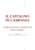 Il Castagno in Campania: problematiche e prospettive della filiera