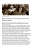 apri l`articolo in pdf
