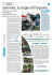 Il Giornale dell`Umbria - Discesa Internazionale del Tevere