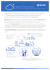 Endpoint Protection Plus