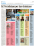 Elezioni - pagina 1
