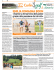 File - FEDERGOLF EMILIA
