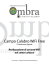 Campo Calabro WiFi Free