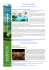 Marche Turismo Newsletter Luglio 2013