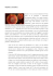 Hepatitis C Virus (HCV) Scarica dettagli