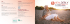 the PDF file - Delphi International