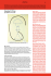 Copying: A Primer by Bettina Funcke