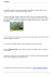 Il Camping - Ristocamping Gran Sasso