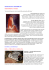 NEWSLETTER 31