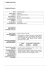 curriculum vitae