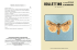 bollettino - ARDE Associazione Romana di Entomologia