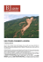 l`articolo in formato pdf - Consiglio Nazionale dei Geologi