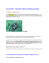 (LEAD-FREE) stagno