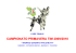 Presentazione di PowerPoint