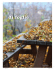di foglie - Aboutgarden