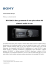 Documento PDF