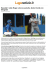 Baseball / Jolly Roger a bocca asciutta, Godo trionfa