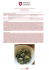 Le ricette qui