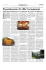 Pag. 4 - Cassa Forense