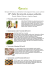 13° Ciclo di corsi di cucina naturale